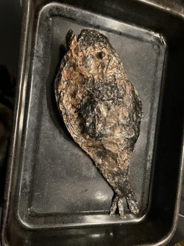 A burned fish, commissioned as a stage prop Prop burned fish